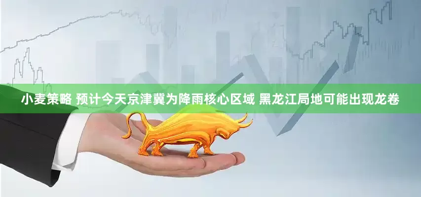小麦策略 预计今天京津冀为降雨核心区域 黑龙江局地可能出现龙卷