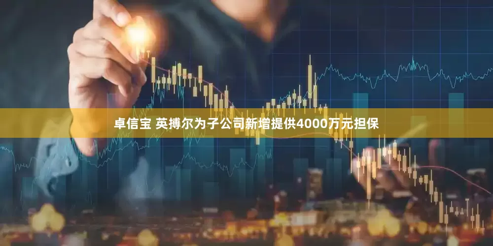 卓信宝 英搏尔为子公司新增提供4000万元担保