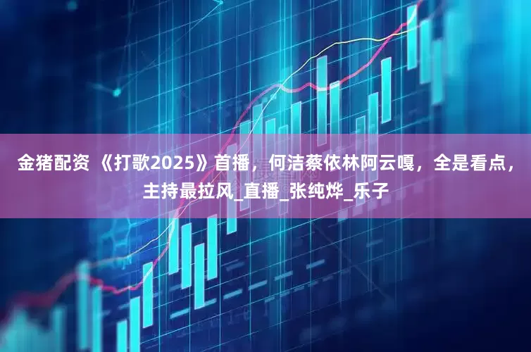 金猪配资 《打歌2025》首播，何洁蔡依林阿云嘎，全是看点，主持最拉风_直播_张纯烨_乐子
