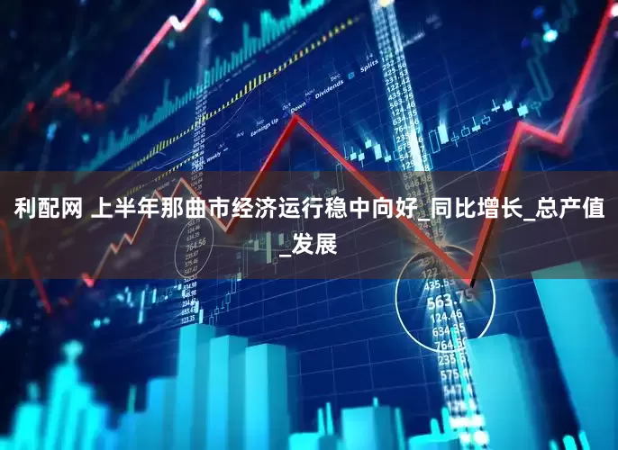 利配网 上半年那曲市经济运行稳中向好_同比增长_总产值_发展