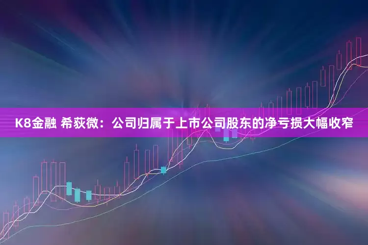K8金融 希荻微：公司归属于上市公司股东的净亏损大幅收窄