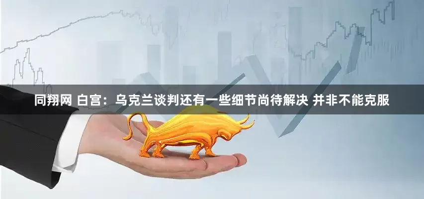 同翔网 白宫：乌克兰谈判还有一些细节尚待解决 并非不能克服