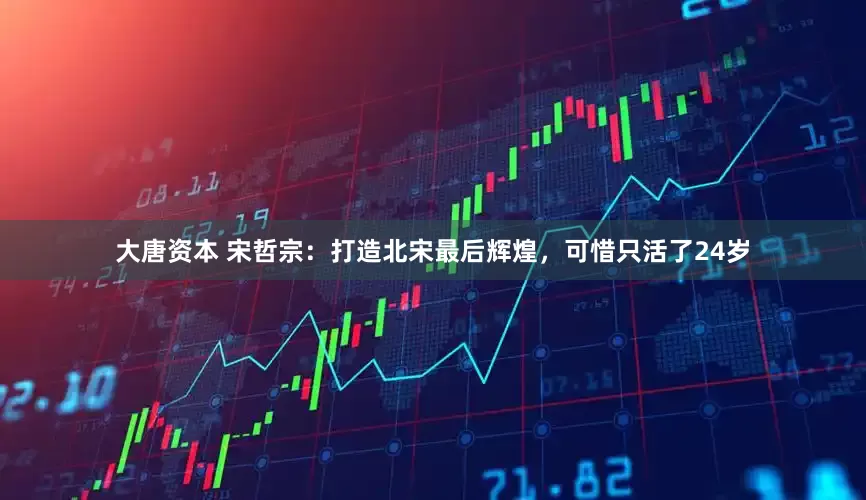 大唐资本 宋哲宗：打造北宋最后辉煌，可惜只活了24岁