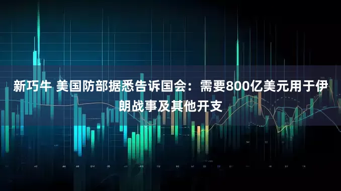 新巧牛 美国防部据悉告诉国会：需要800亿美元用于伊朗战事及其他开支